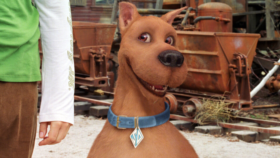 Scooby Doo Potwory Na Gigancie Online 19 maja: "Scooby-Doo II: Potwory na gigancie" w TVN 7 - oficjalna